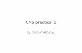 CNS practical 1