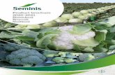 Product brochure 2020-2021 Bloemkool Broccoli Sluitkool