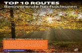 TOP 10 ROUTES