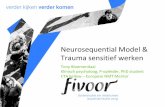 Neurosequential Model