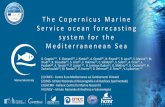 The Copernicus Marine Service and its use and priorities ...