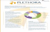 Plethora)PreciousMetalsFund:) +1,8% Ontwikkelingen