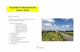 FysioSport Nieuwsbrief zomer 2019 - Zwanenzijde