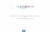 Rapport d’activité Structure Petite Enfance 2011 Projet ...