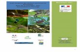 Rapport STOC 2021 - martinique.developpement-durable.gouv.fr