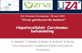 Hepatocellulair Carcinoma: behandeling