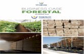 BUSINESS CASE FORESTAL - XXI