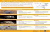 Herkenningskaart Zeeschildpadden - Verspreidingsatlas