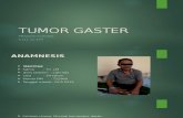 Slide Tumor Gaster