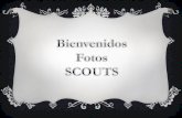 Fotos Scouts