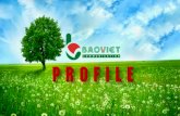 Bao Viet Advertising Profiles