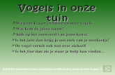 Vogels in onze_tuin_a_
