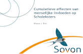 Cumulatieve effecten van menselijke invloeden op Scholeksters - CAPS symposium - Bruno Ens