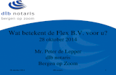 Presentatie flex b.v. 28 oktober 2014 gw