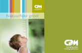 Presentatie activiteiten CPM (NL)