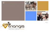 Triangis presentatie 2015 copy