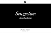 Presentatie Logo Senzeetion