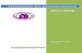 STUDIEGIDS BSc ... Studiegids Bedrijfskunde 2017-2018 Page 9 mw.drs.T.Sno (lid) (Sociologie). De Examencommissie