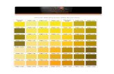Pantoneآ® Matching System (PMS) Kleuren Kaart Pantoneآ® Matching System (PMS) Kleuren Kaart Proces Geel