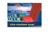 Phuong Nam Steel