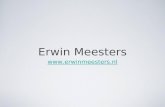 Erwin Meesters
