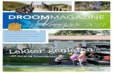 DroomParken magazine voorjaar 2013