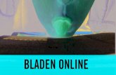 Bladen Online