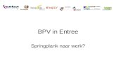 BPV in Entree