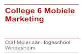 Presentatie Mobiele Marketing Windesheim college 6
