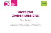 Succesvol zonder subsidies