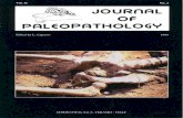 JoP  Vol. 11  n.3 - 1999
