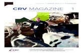 CRV Magazine 1 - januari 2014 - regio Vlaanderen