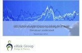 Eneco onderzoek e-Risk