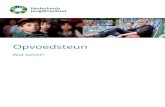 Wat werkt bij opvoedsteun - Nederlands Jeugdinstituut Wat werkt bij geأ¯ndiceerde opvoedprogrammaâ€™s