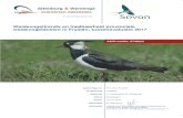 Weidevogeltrends en haalbaarheid provinciale weidevogeldoelen 2019-03-26آ  weidevogelsoorten Kievit,