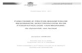 FUNCTIONELE PROTON MAGNETISCHE RESONANTIE SPECTROSCOPIE 2012. 3. 14.¢  Proton magnetische resonantie