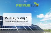 Feiyue Solar