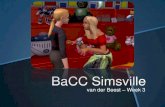 BaCC: Simsville - Week 3 - van der Beest