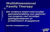 Stichting de JuttersCentrum voor Jeugd-GGZ Haaglanden Multidimensional Family Therapy Een evidence based meervoudige gezinsbehandeling voor gezinnen van