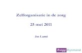 Zelforganisatie in de Zorg - Jos Lam©