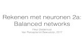 Rekenen met neuronen 2a: Balanced networks Rekenen met neuronen 2a: Balanced networks Fleur Zeldenrust