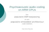 Psychoacoustic audio coding on ARM CPUs