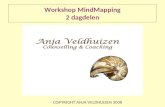 Workshop Mind Mapping  2008