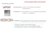 Introductie van DNA