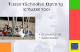 TussenSchoolse Opvang Ichtusschool 21 oktober 2008 Saskia Delies