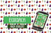 Eindpresentatie EcoCoach