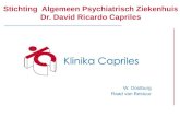 Stichting Algemeen Psychiatrisch Ziekenhuis Dr. David Ricardo Capriles W. Oostburg Raad van Bestuur