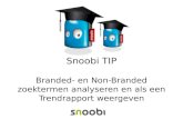 Branded non-branded met Snoobi Analytics