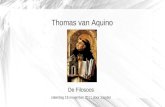 Thomas van Aquino