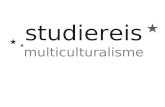 studiereis multiculturalisme